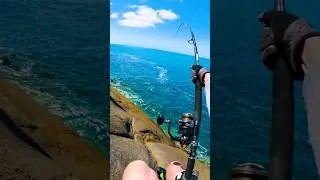 Thumbnail: Monster fish on first cast...