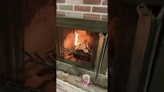 Thumbnail: Nothin like 2x4’s roasting on an open fire to keep you warm on the job site #shorts