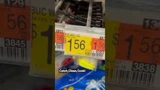 Thumbnail: $1 Walmart Rig LANDED Me THIS‼️ #fishing #youtubeshorts #fish #cooking #catchandcook