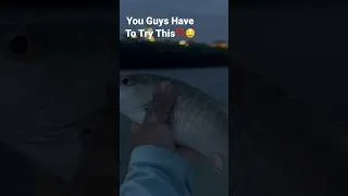 Thumbnail: CatchCleanCook‼️Next Time You Catch One Try It Like This‼️#fishing #cooking #youtubeshorts #tasty