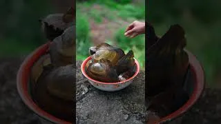 Thumbnail: I Found a Giant Clam Bigger Than My Head! #asmr #cooking #countrylife #food #catch #clam