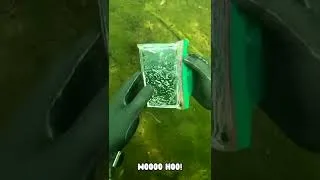 Thumbnail: Found Working iPhone 11 Pro and iPhone 10X Underwater! #shorts
