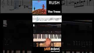 Thumbnail: Rush The Trees Keyboard Solo (Geddy Lee) #shorts #rush