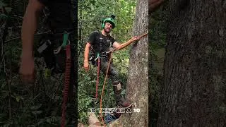 Thumbnail: On the ground. Up the tree. Back to the truck. That’s what the O.T. was built for.