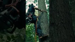 Thumbnail: Working for the good views and the good smells 🌲