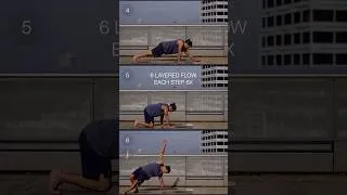 Thumbnail: Can you do all 6 flow levels? #functionalfitness #mobilityflow #bodyweightworkout #beginnerfriendly