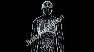 Thumbnail: Lungs exchange oxygen and carbon dioxide between the air we breathe and the bloodstream.