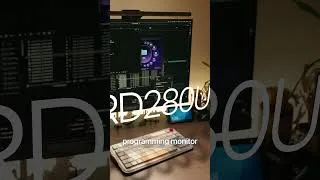 Thumbnail: Best monitor for late night coding (BenQ RD280UG)