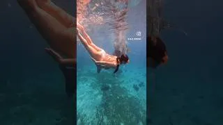Thumbnail: Swimming with the Whale Sharks in Oslob, Cebu, Philippines #experience🪷 Philippines 🇵🇭