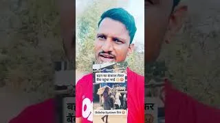 Thumbnail: कब्र से कंकाल निकाल कर बैंक पहुंचा 😱 | Shocking Discovery in Odisha | Breaking News | OdishaNews
