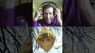 Thumbnail: Barrett Klein Shows Off His Bee Hive Mask
