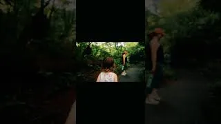 Thumbnail: Views from the Smoky Mountains