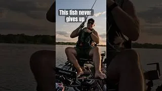Thumbnail: This Fish Never Gives Up! #fishing #bassfishing #kayakfishing #outdoors