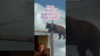 Thumbnail: Taking The Bear Neccessities To A New Level. POOR BEAR! #joesins #bears #bearnecessities #teddybear