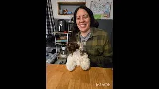 Thumbnail: Easter Song for Dog Lovers