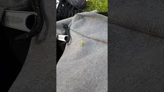 Thumbnail: Angriff der Killer 🐛 worms #funnyvideo