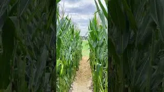Thumbnail: POV: They built it | John Deere