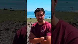 Thumbnail: Why You Should Read The KJV more (not a kjvo vid) #kjvbibles