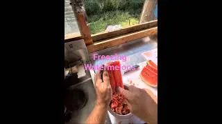 Thumbnail: Freezing  Watermelon