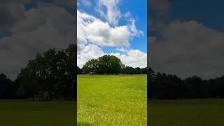 Thumbnail: A beautiful scenic drive. #shorts #subscribe #travel #massachusetts