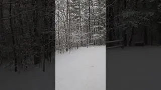 Thumbnail: It's still snowing in Fires Creek, NC.