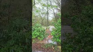 Thumbnail: Fires Creek, NC, flooding the morning of 07 April 2025