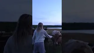 Thumbnail: POV: The Cows Love When You Sing To Them