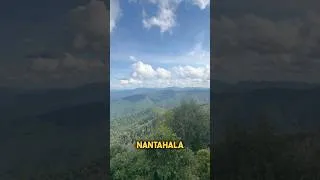 Thumbnail: This was such a special moment and place 💚 #appalachia