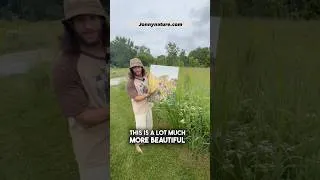 Thumbnail: Shoutout this prairie 💜 go to the link in my bio or jonnynatue.com if you’d like a  nature print :)