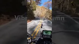Thumbnail: Raphine To Amherst