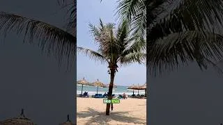 Thumbnail: Vietnam for countryside but Thailand for beaches and clear water 🇻🇳🇹🇭 #travel #josh_on_the_move