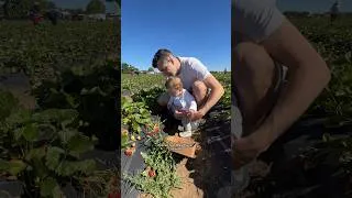 Thumbnail: What we spend in a day as a family of 3 living in San Francisco… strawberry edition! 🍓 #budget