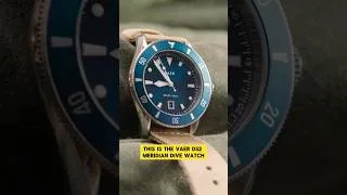 Thumbnail: A Classic Diver on a Budget | 🌊 VAER DS2 Meridian