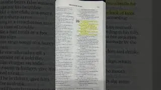 Thumbnail: Proverbs 26 #BibleVerse #ChristianShorts #LoFiBeats #Lofi #Proverbs