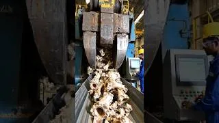 Thumbnail: 🦴🔥 Bones to Powder Process #shorts