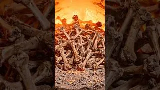 Thumbnail: 🦴🔥 Bone Thermal Process to Valuable Powder #shorts