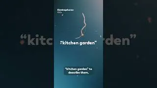 Thumbnail: Growing Your Lunch On Your Back