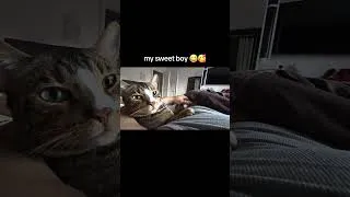 Thumbnail: 😂😂😂 #cat #funnycats