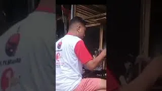 Thumbnail: ternak ayam kampung #viral #ayam #peternakanayam #virqlshorts #ayamkampung@ternakayamrumahan @ayam