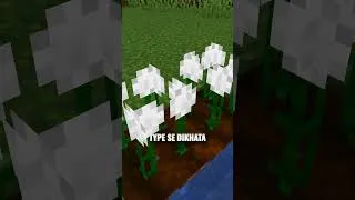 Thumbnail: You Can Grow Cotton in Minecraft?! #minecraft