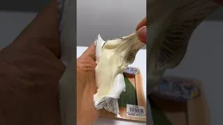Thumbnail: 【Detachable】Out-of-bag Oyster Squishy! Shell & meat separate & stick together! 🦪✨ #shorts