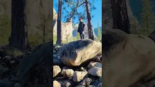 Thumbnail: Yosemite National Park adventure! It’s always good to bring back memories!🇺🇸 #usa  #shorts