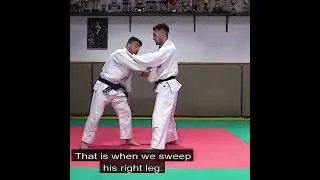 Thumbnail: Seoi Nage Ouchi Gari Right vs Left by Fabio Basile