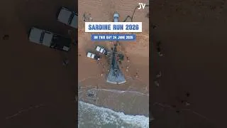 Thumbnail: Sardine Run 2026 - on this day 24 June 2025! #SardineRun2026  #TheGreatestShoal #JuelzVisuelz