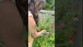Thumbnail: Fall Gardening Tips for Beginners: Pt 2 🍂🍁#gardeningtips #gardeningforbeginners #frugalliving