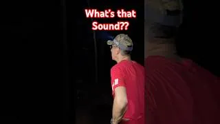 Thumbnail: Camping, Campfire and an Owl Calling.