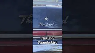 Thumbnail: Just picked up this trailer and 1978 thunderbird in a 2 for one deal. full video soon!
