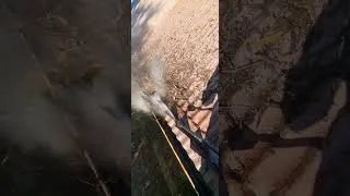 Thumbnail: remove some large bits by hand and karcher the rest clean.
