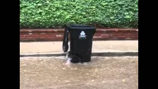 Thumbnail: Trash Bin racing in the rain! Live coverage!