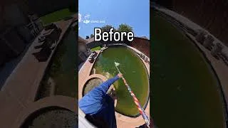 Thumbnail: Next morning after first treatment. #pool #swimmingpool